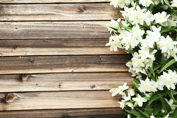 Fototapeta premium White flowers of jasmine on brown wooden background