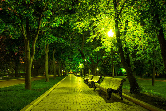 Night Park
