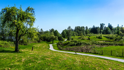 The Fort to Fort Trail at Derby Reach in Langley British Columbia. A favorite path for walking, running and biking from Fort Langley to the Golden Ears Bridge