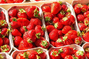 Strawberries in the Bowl