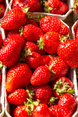 Strawberries in the Bowl