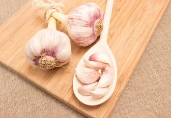 fresh garlic on canvas close up