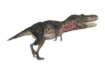 Dinosaur Tarbosaurus