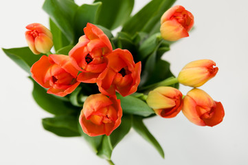 beautiful bouquet of orange tulips