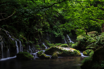 Naklejka premium 元滝伏流水