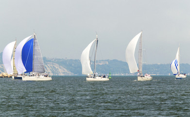 Obraz premium Sailboats in the sea