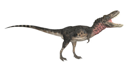 Obraz na płótnie Canvas Dinosaur Tarbosaurus