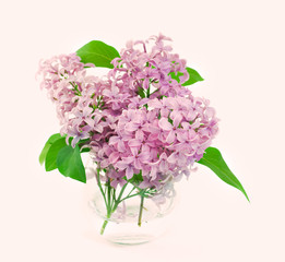 Fresh Lilac Decor