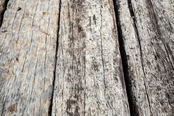 wood texture background