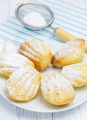 Sugar powdered madeleines on the white plate