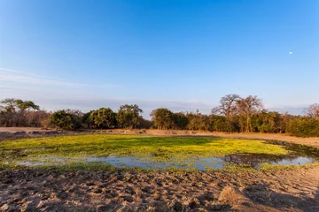 African landscape