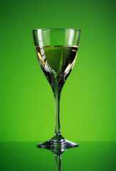 glass of white wine