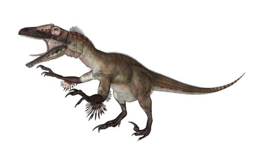 Obraz premium Dinozaur Utahraptor