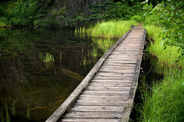 Boardwalk over Marshy wetland area