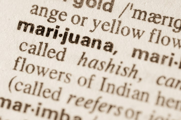 Dictionary definition of word marijuana