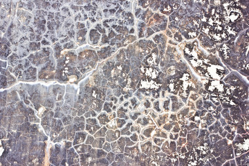 Grunge black cracks on white paint texture.