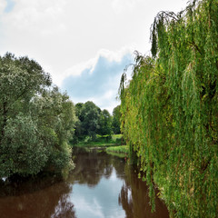 river in forest