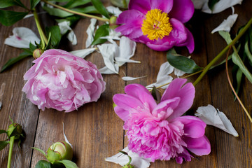 white and pink peonies bouquet from flowers market on a dark wood table in rustic style