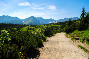 Fototapeta na wymiar Road to Gasienicowa valley in High Tatras