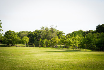 green park landscape, background
