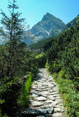 Fototapeta premium Koscielec peak in the background