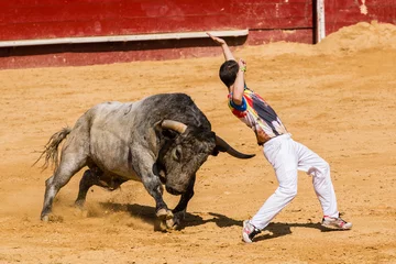 Photo sur Plexiglas Tauromachie Coupe la concurrence avec les taureaux de combat