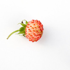 wild strawberry on a white background close up