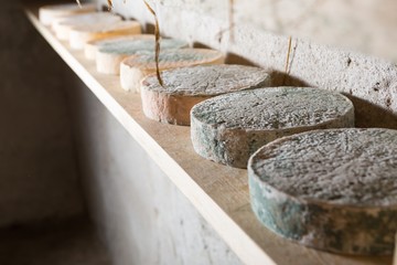 French goat cheese maturing in basement
