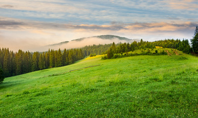 Fototapeta premium fog around the mountain top at sunrise