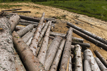 Wooden logs