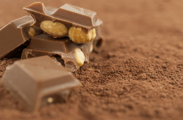 Chocolate with hazelnuts on cocoa powder