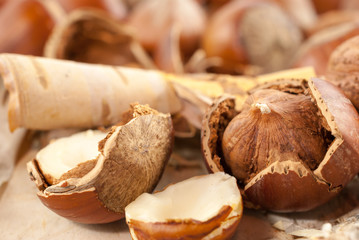 Hazelnuts on white wooden background