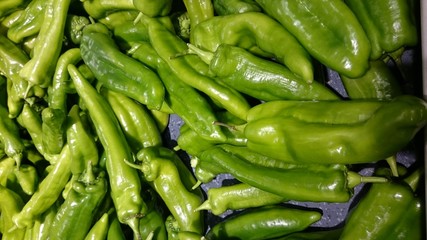 Piment vert