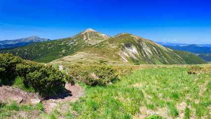 Carpathian mountains
