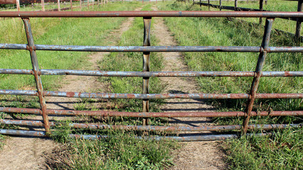 iron fence