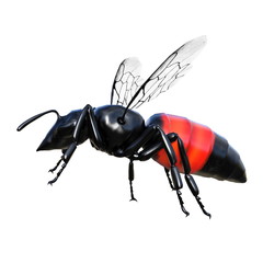 ハチ

