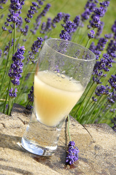 Pastis et lavande