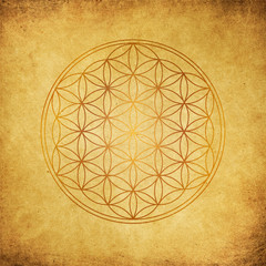 Blume des Lebens - gold