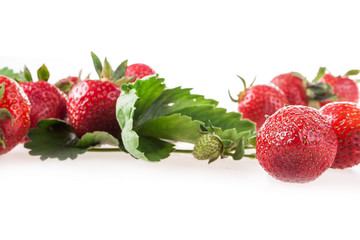 Strawberry on white background