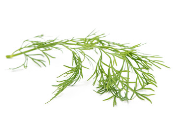 dill