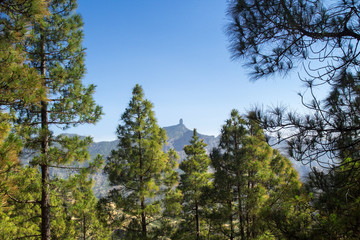 Fototapeta na wymiar Gran Canaria, Caldera de Tejeda