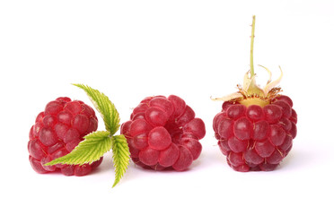 Framboise