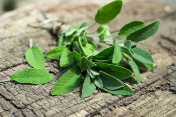 A bunch of fresh sage on an old wooden table