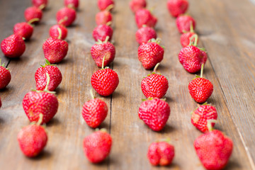 organic fresh sweet strawberries in rows as a seasonal breakfast in the morning right from farmers market on dark wood table background decorated in rustic style
