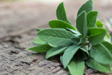 A bunch of fresh sage on an old wooden table