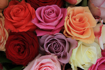 Mixed bridal roses