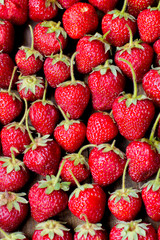 organic fresh sweet strawberries in rows as a seasonal breakfast in the morning right from farmers market on dark wood table background decorated in rustic style
