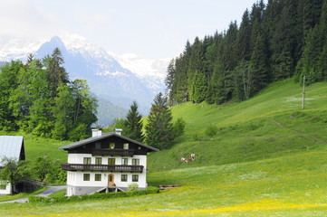 Fototapeta na wymiar Typical Alps view, Austria