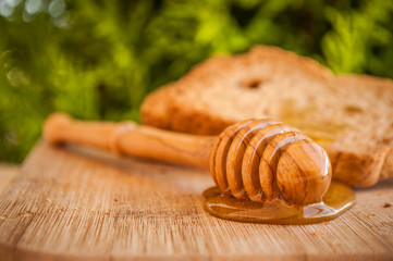 toasted bread with honey and honey dipper in nature background