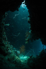 Obraz premium Underwater Cave